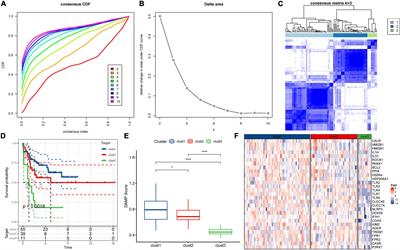 A damage-associated molecular patterns-related gene signature for the prediction of prognosis and immune microenvironment in children stage III acute lymphoblastic leukemia